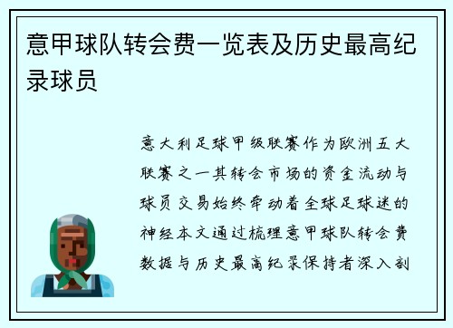 意甲球队转会费一览表及历史最高纪录球员