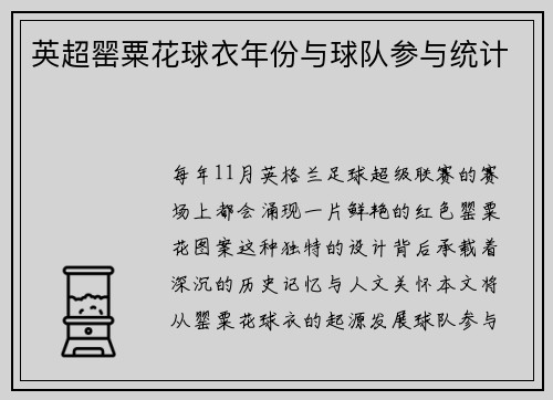 英超罂粟花球衣年份与球队参与统计