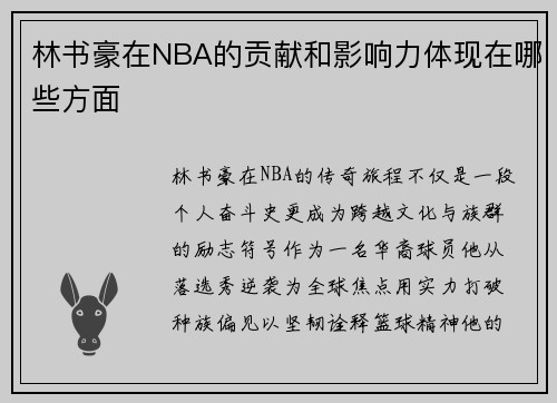 林书豪在NBA的贡献和影响力体现在哪些方面